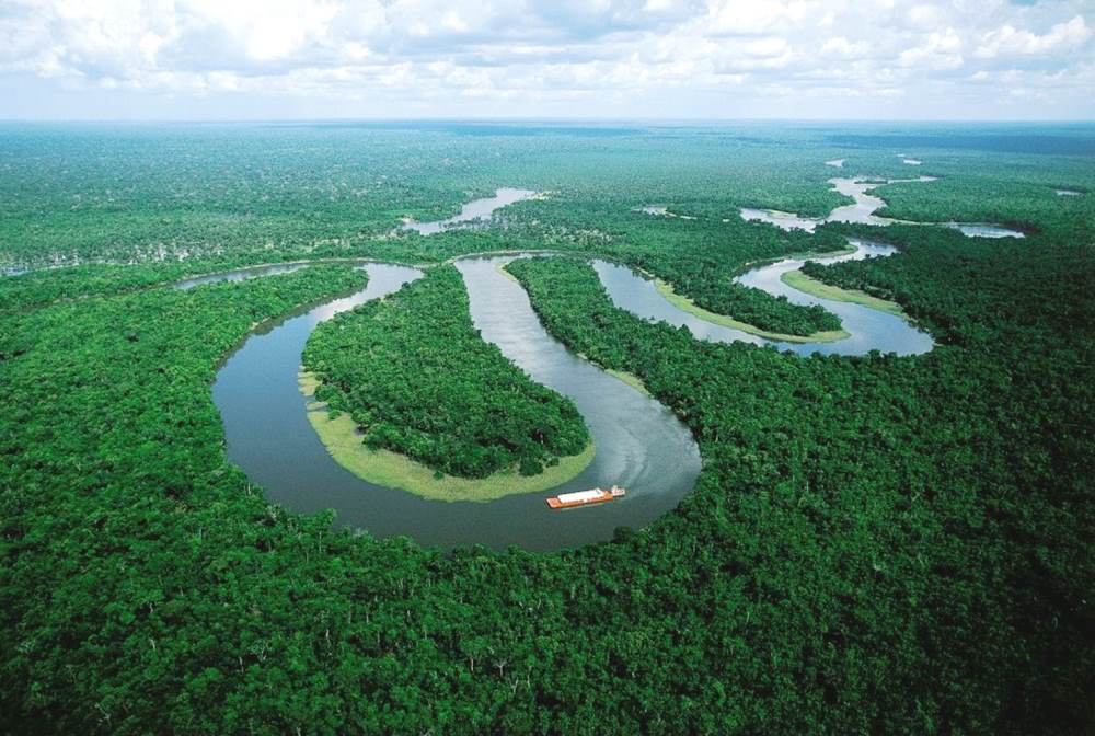 The Amazon River